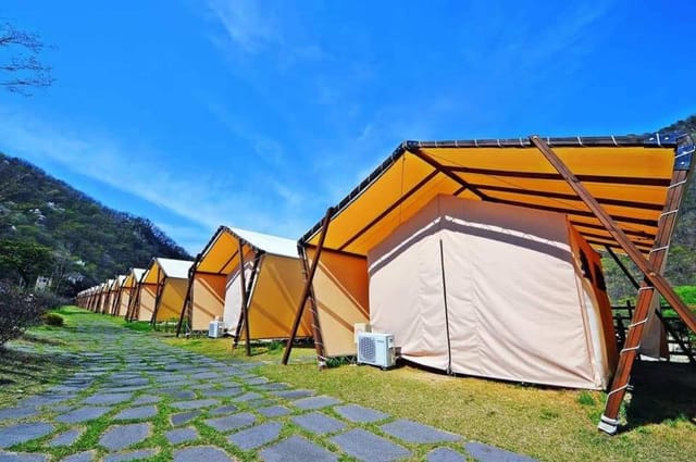 2-day-glamping-camping-sheep-ranch-vivaldi-park-toy-museum-july-and-august-only-seoul-gp-02_1